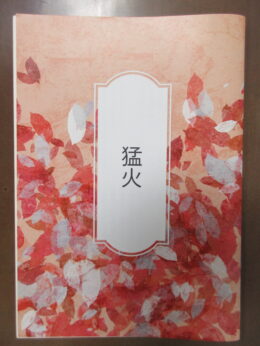 『猛火』西条を舞台にした天成の陣のことを書いた時代劇もの